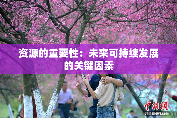 资源的重要性：未来可持续发展的关键因素