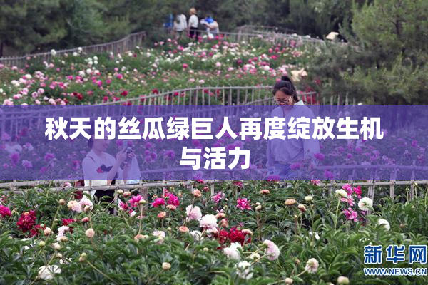 秋天的丝瓜绿巨人再度绽放生机与活力