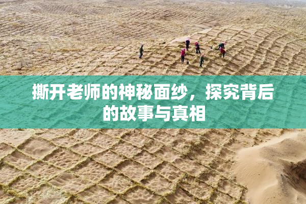 撕开老师的神秘面纱，探究背后的故事与真相