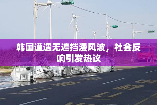 韩国遭遇无遮挡漫风波，社会反响引发热议