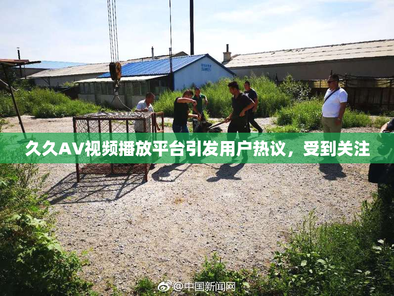 久久AV视频播放平台引发用户热议，受到关注
