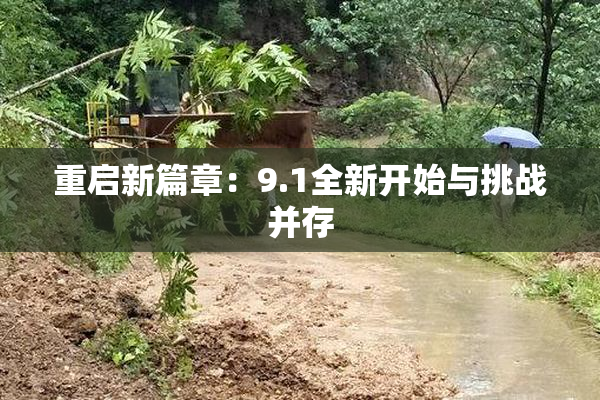 重启新篇章：9.1全新开始与挑战并存