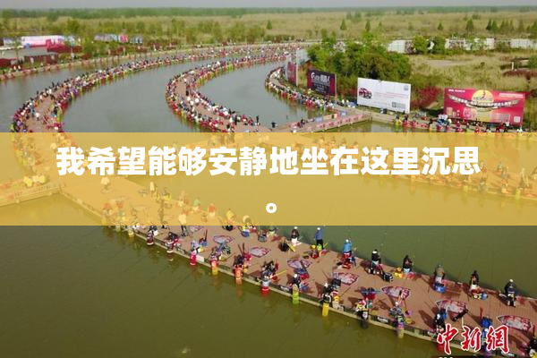 我希望能够安静地坐在这里沉思。