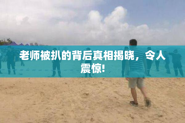 老师被扒的背后真相揭晓，令人震惊!