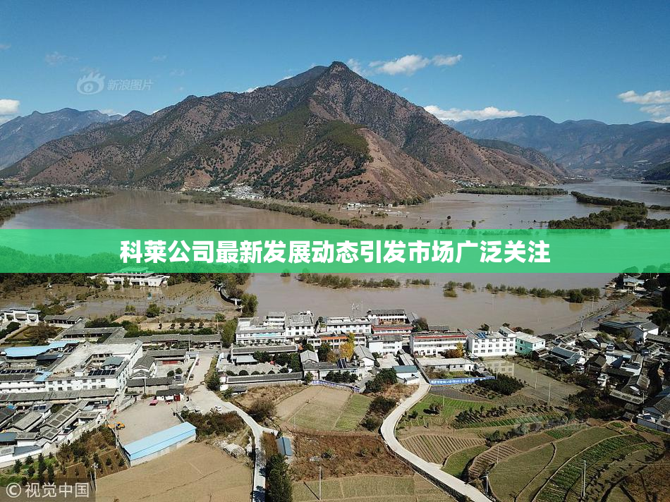 科莱公司最新发展动态引发市场广泛关注