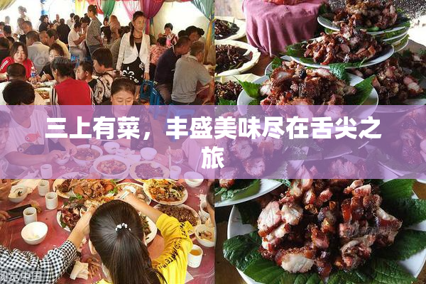 三上有菜，丰盛美味尽在舌尖之旅