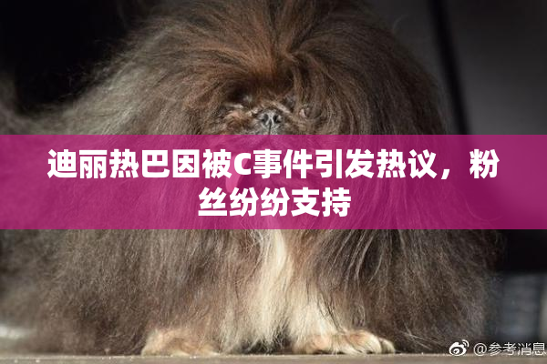 迪丽热巴因被C事件引发热议，粉丝纷纷支持