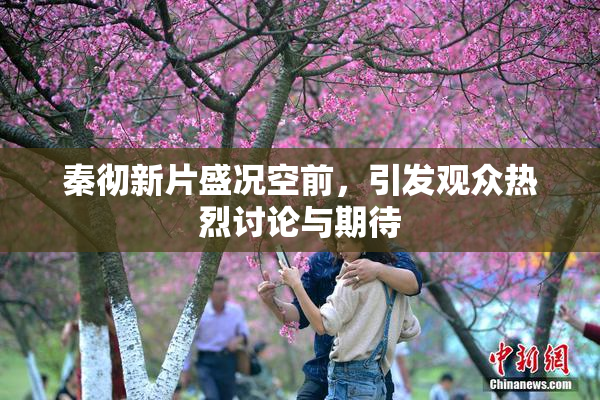 秦彻新片盛况空前，引发观众热烈讨论与期待