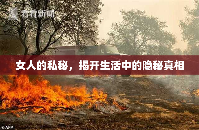 女人的私秘，揭开生活中的隐秘真相