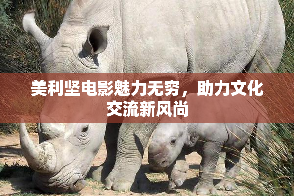 美利坚电影魅力无穷，助力文化交流新风尚