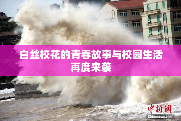 白丝校花的青春故事与校园生活再度来袭
