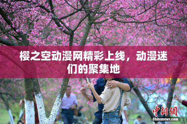 樱之空动漫网精彩上线，动漫迷们的聚集地