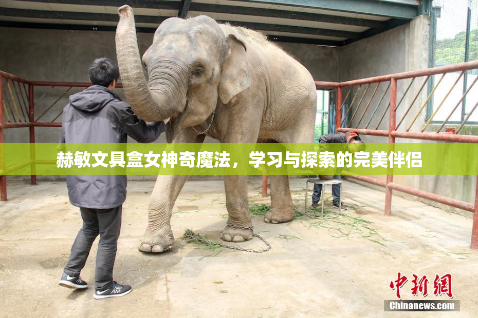 赫敏文具盒女神奇魔法，学习与探索的完美伴侣