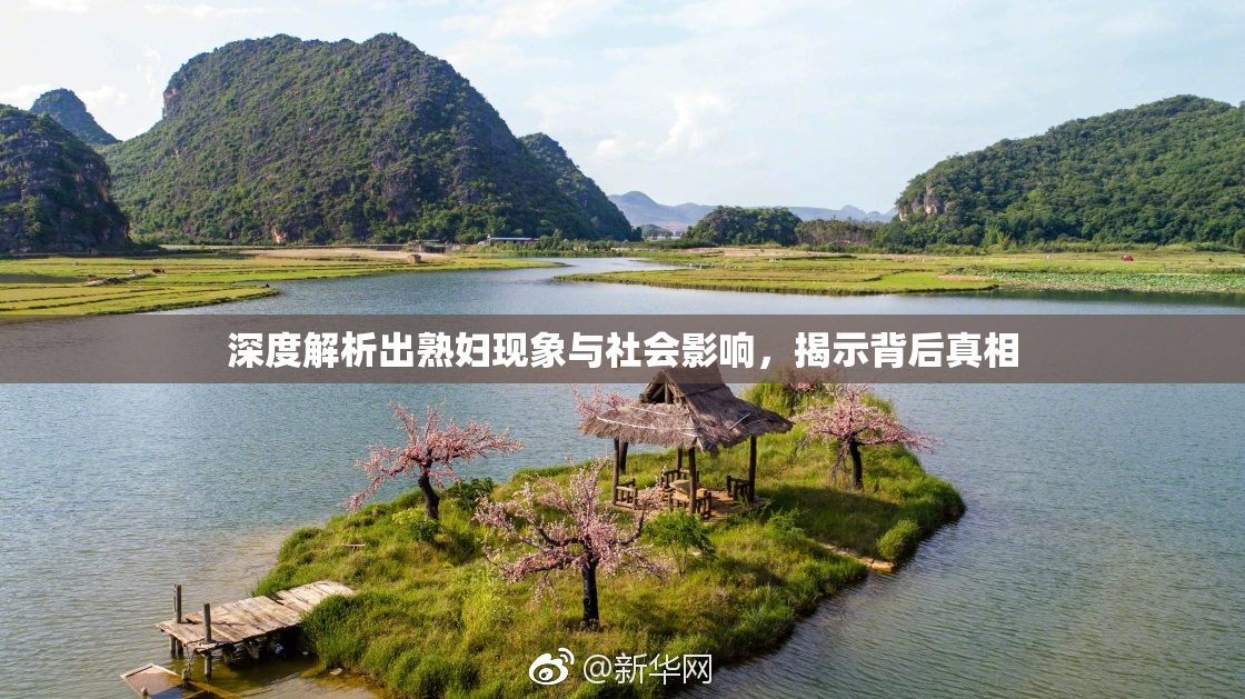 深度解析出熟妇现象与社会影响，揭示背后真相