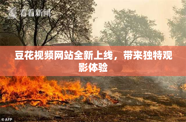 豆花视频网站全新上线，带来独特观影体验