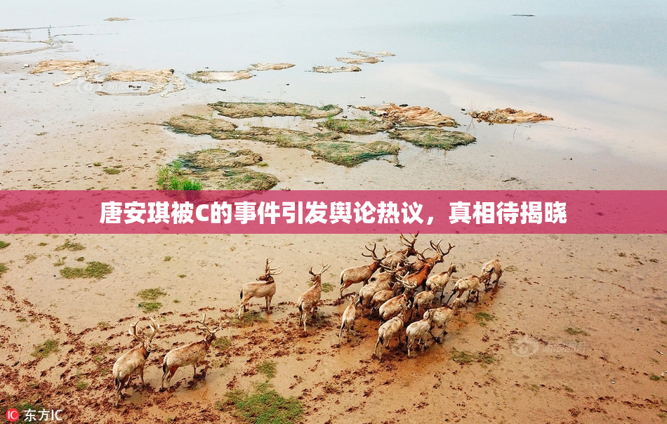 唐安琪被C的事件引发舆论热议，真相待揭晓