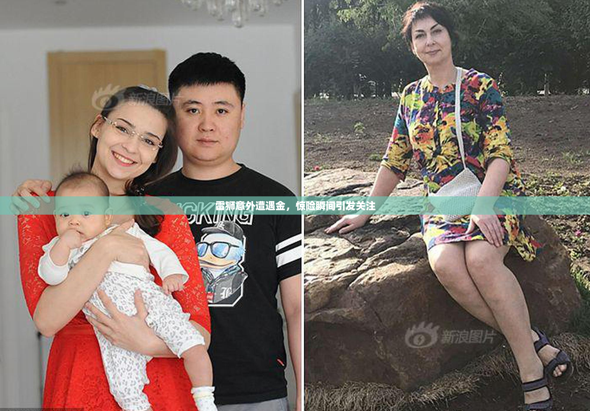 雷狮意外遭遇金，惊险瞬间引发关注