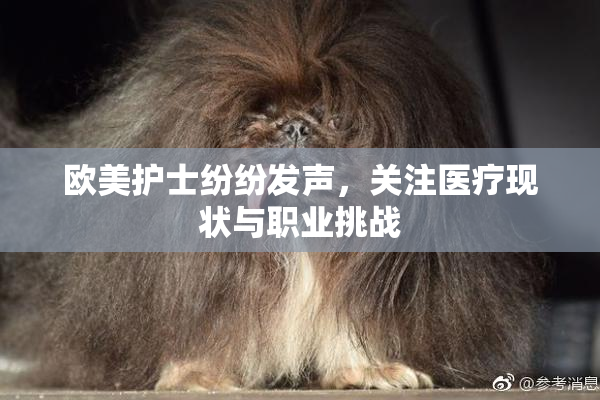 欧美护士纷纷发声，关注医疗现状与职业挑战