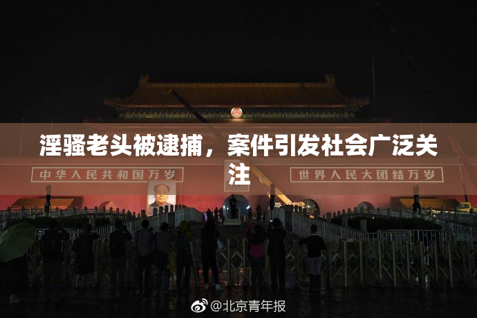淫骚老头被逮捕，案件引发社会广泛关注