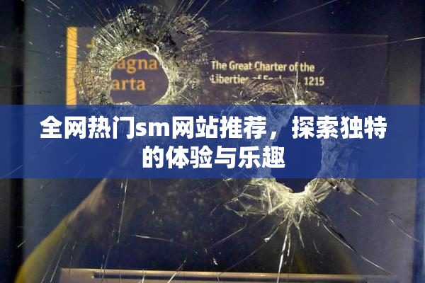 全网热门sm网站推荐，探索独特的体验与乐趣