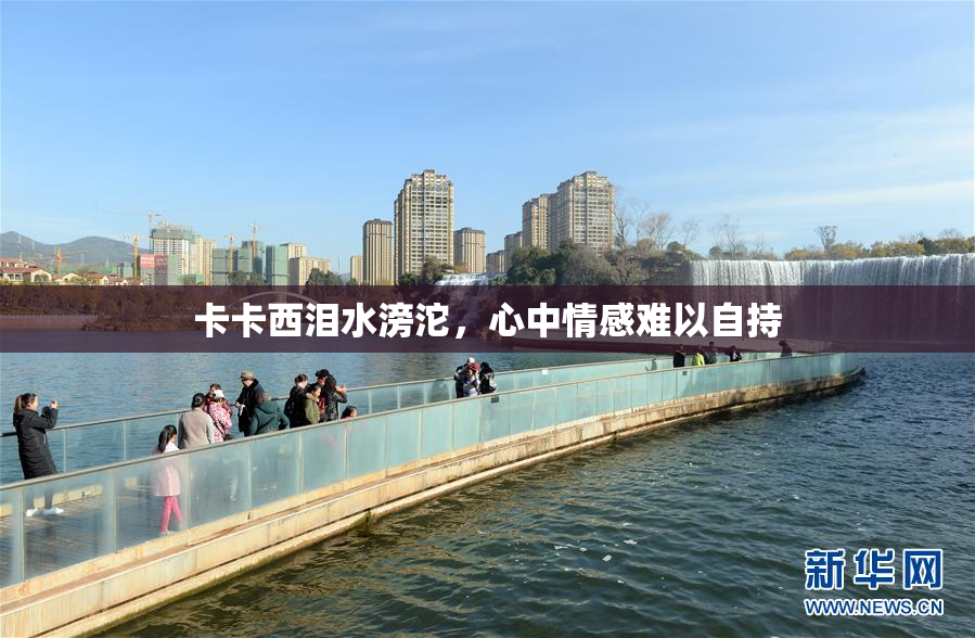 卡卡西泪水滂沱，心中情感难以自持