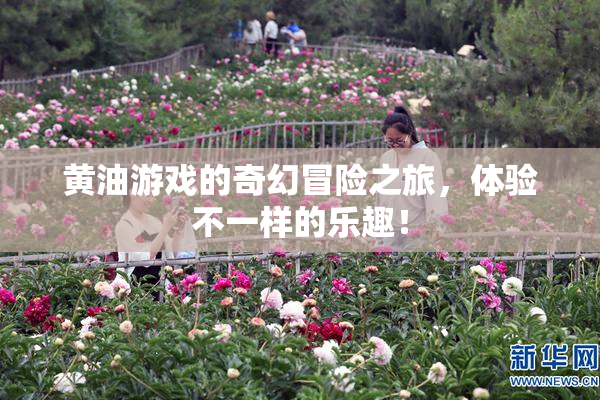 黄油游戏的奇幻冒险之旅，体验不一样的乐趣！