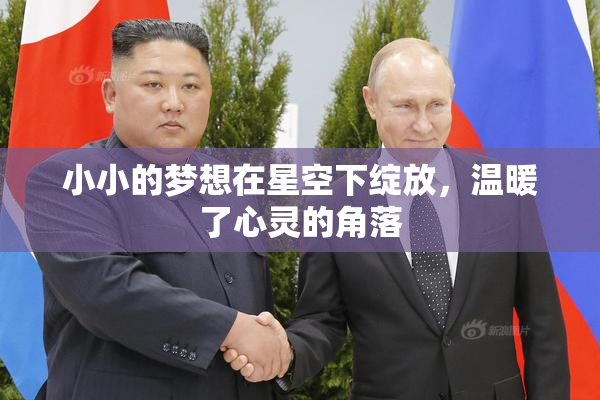 小小的梦想在星空下绽放，温暖了心灵的角落