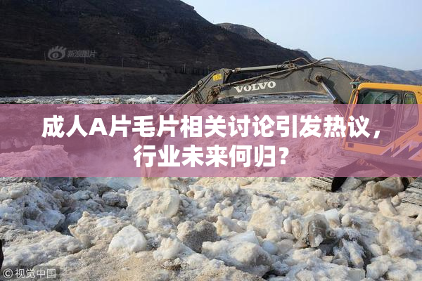 成人A片毛片相关讨论引发热议，行业未来何归？