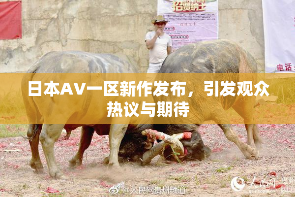 日本AV一区新作发布，引发观众热议与期待