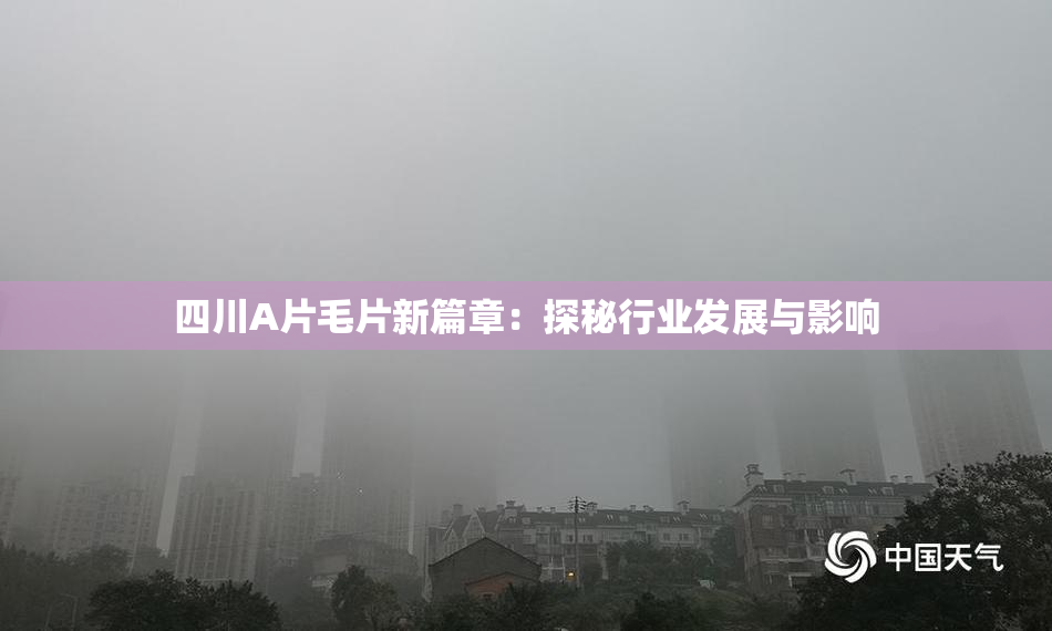 四川A片毛片新篇章：探秘行业发展与影响