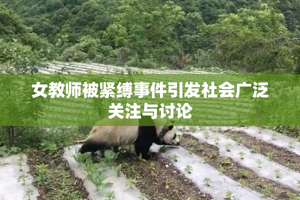 女教师被紧缚事件引发社会广泛关注与讨论