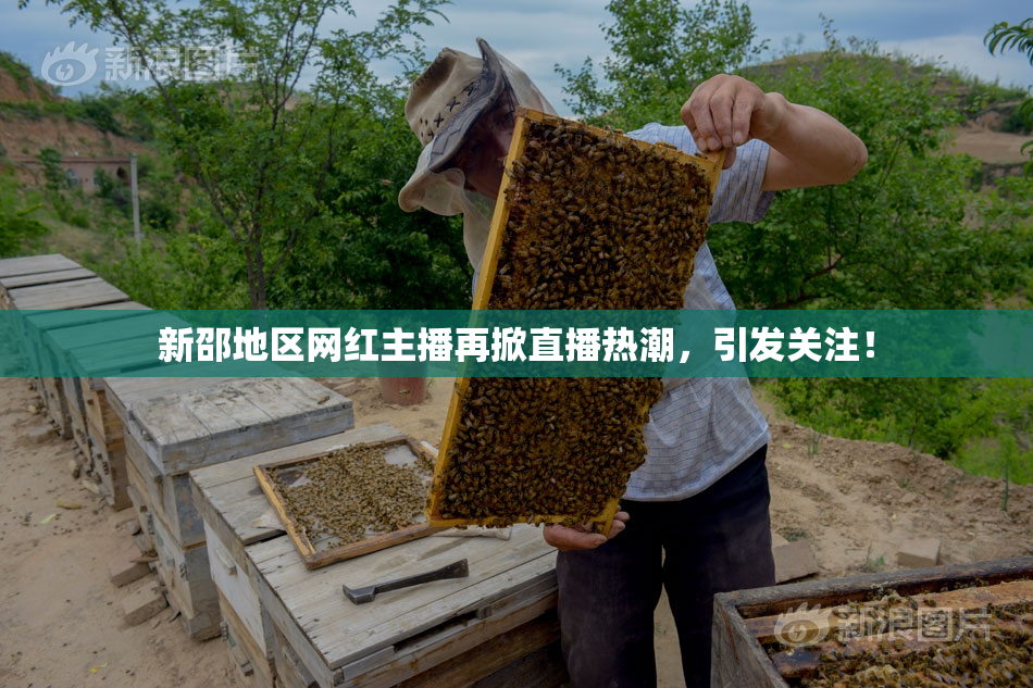 新邵地区网红主播再掀直播热潮，引发关注！