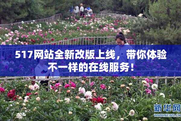 517网站全新改版上线，带你体验不一样的在线服务！