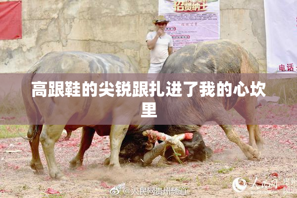 高跟鞋的尖锐跟扎进了我的心坎里