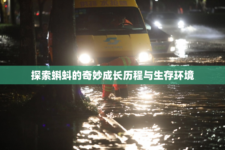 探索蝌蚪的奇妙成长历程与生存环境