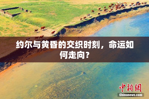 约尔与黄昏的交织时刻，命运如何走向？