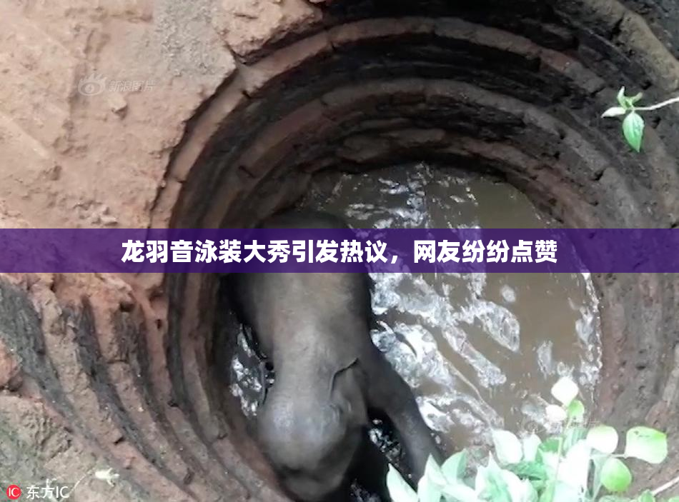 龙羽音泳装大秀引发热议，网友纷纷点赞