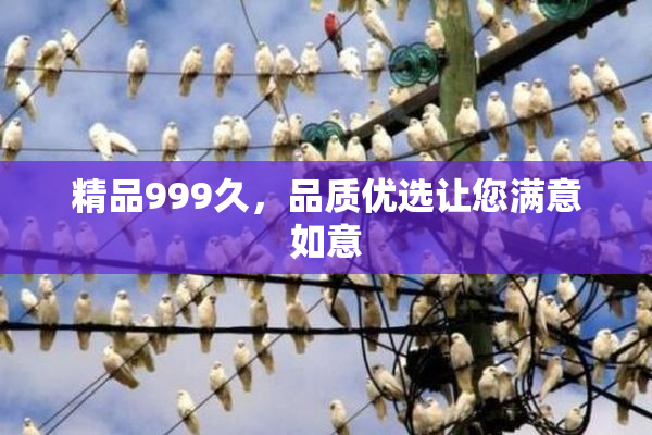 精品999久，品质优选让您满意如意