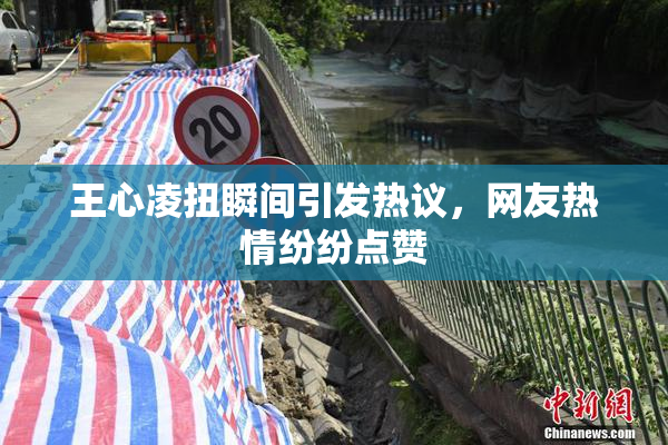 王心凌扭瞬间引发热议，网友热情纷纷点赞