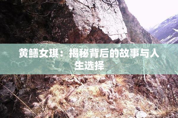 黄鳝女琪：揭秘背后的故事与人生选择