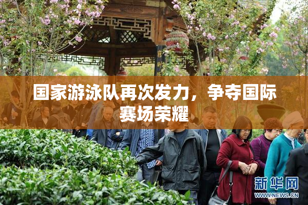 国家游泳队再次发力，争夺国际赛场荣耀
