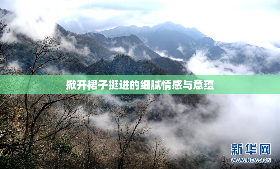 掀开裙子挺进的细腻情感与意蕴