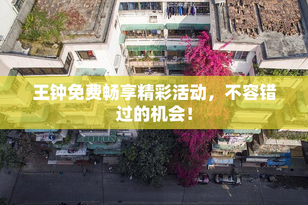 王钟免费畅享精彩活动，不容错过的机会！