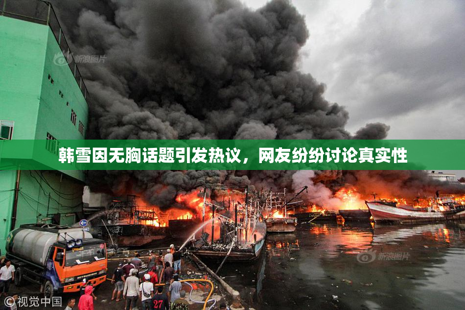 韩雪因无胸话题引发热议，网友纷纷讨论真实性