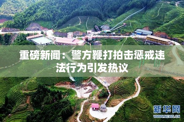 重磅新闻：警方鞭打拍击惩戒违法行为引发热议