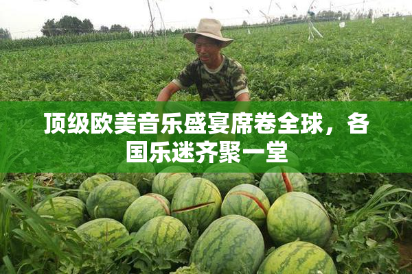 顶级欧美音乐盛宴席卷全球，各国乐迷齐聚一堂