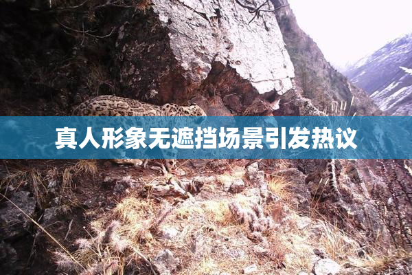 真人形象无遮挡场景引发热议