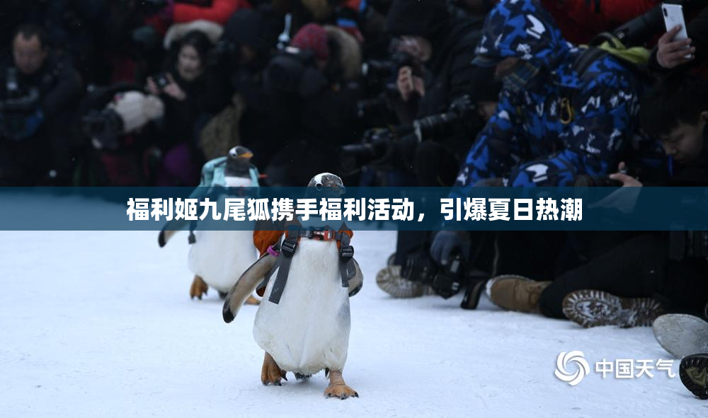 福利姬九尾狐携手福利活动，引爆夏日热潮