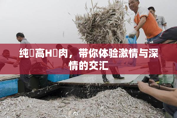 纯愛高H純肉，带你体验激情与深情的交汇