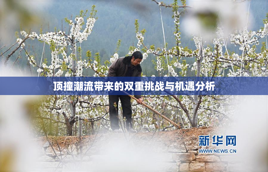 顶撞潮流带来的双重挑战与机遇分析
